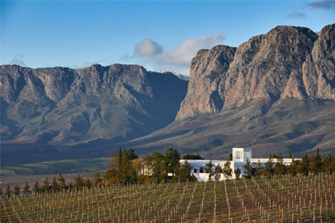 Discover CapeWinelands 17 Nov - 27 Nov 2023