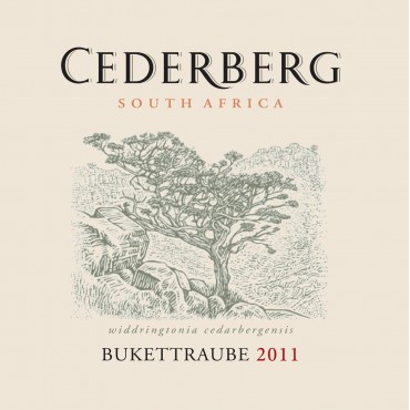 Cederberg Bukettraube 2021