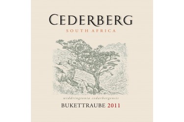 Cederberg Bukettraube 2022